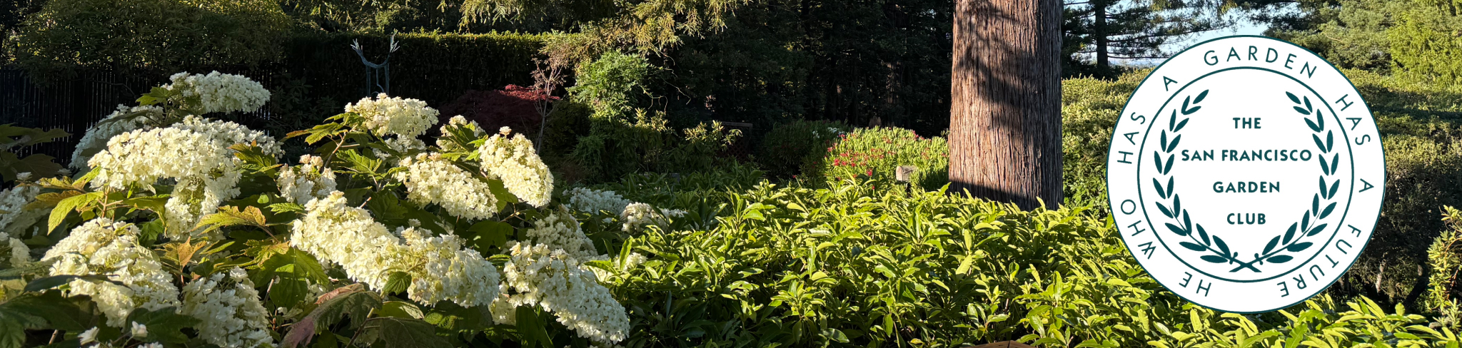 San Francisco Garden Club