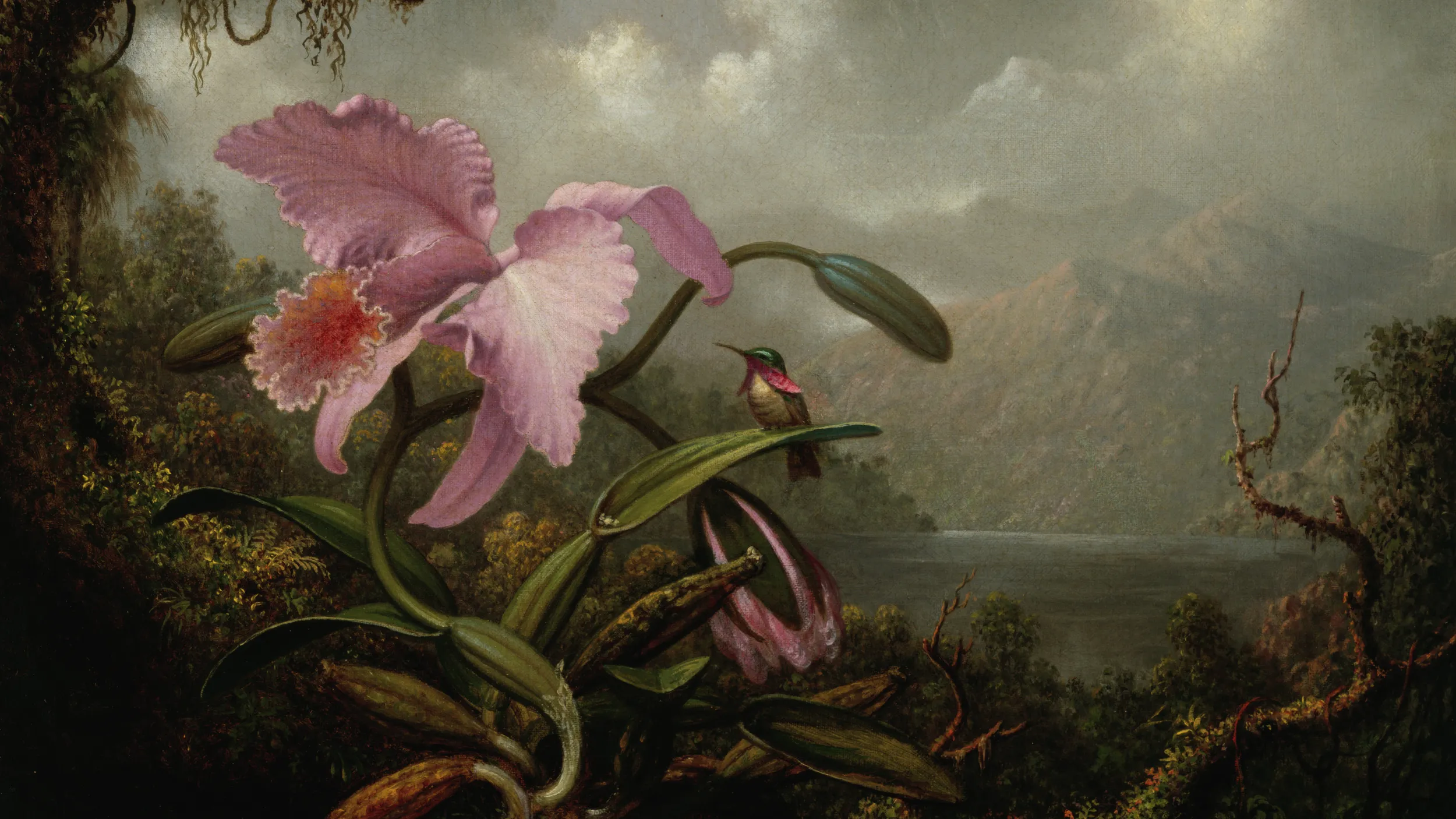 Bouquets to Art 2024