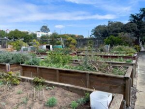 CCSF Horticulture Dept