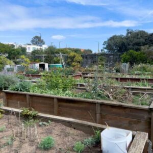 CCSF Horticulture Dept