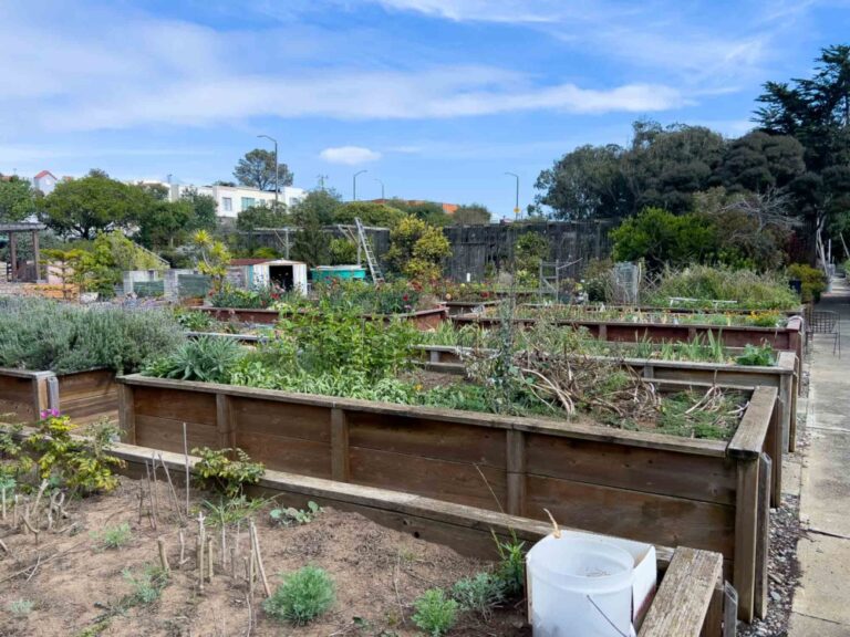 CCSF Horticulture Dept