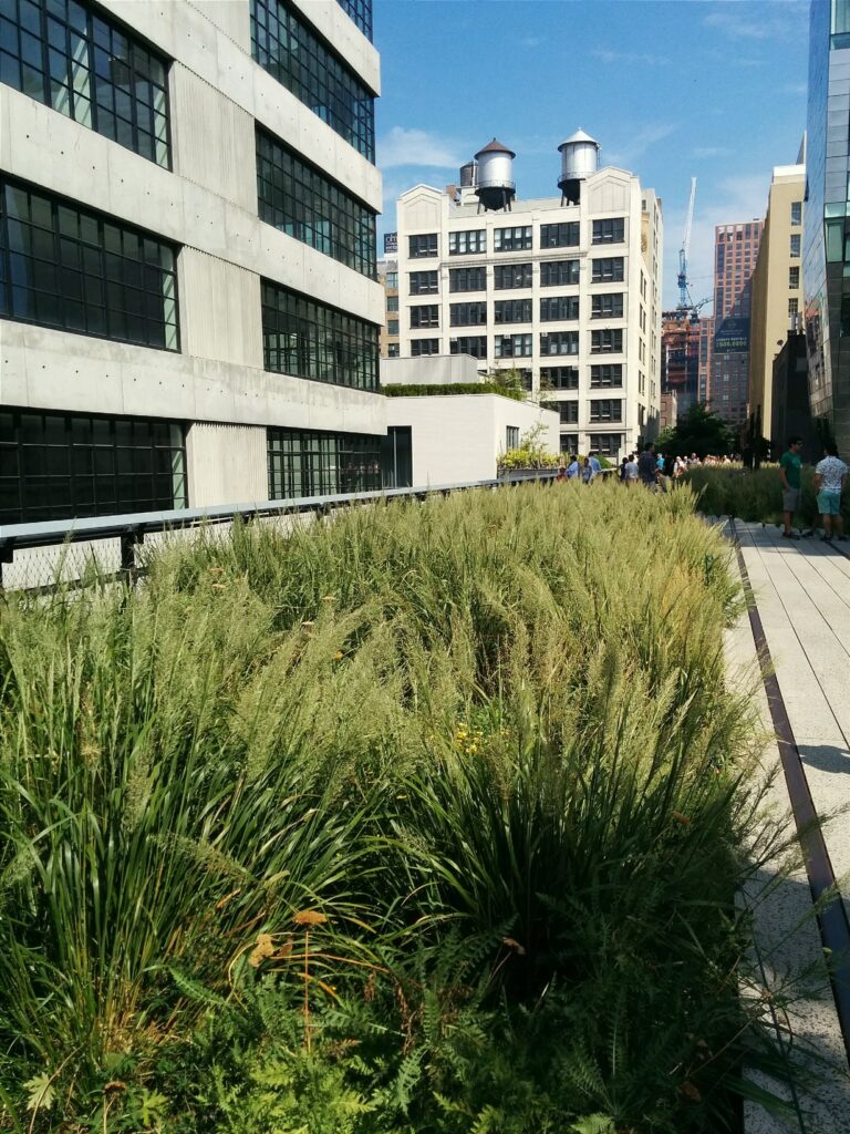The High Line, New York City