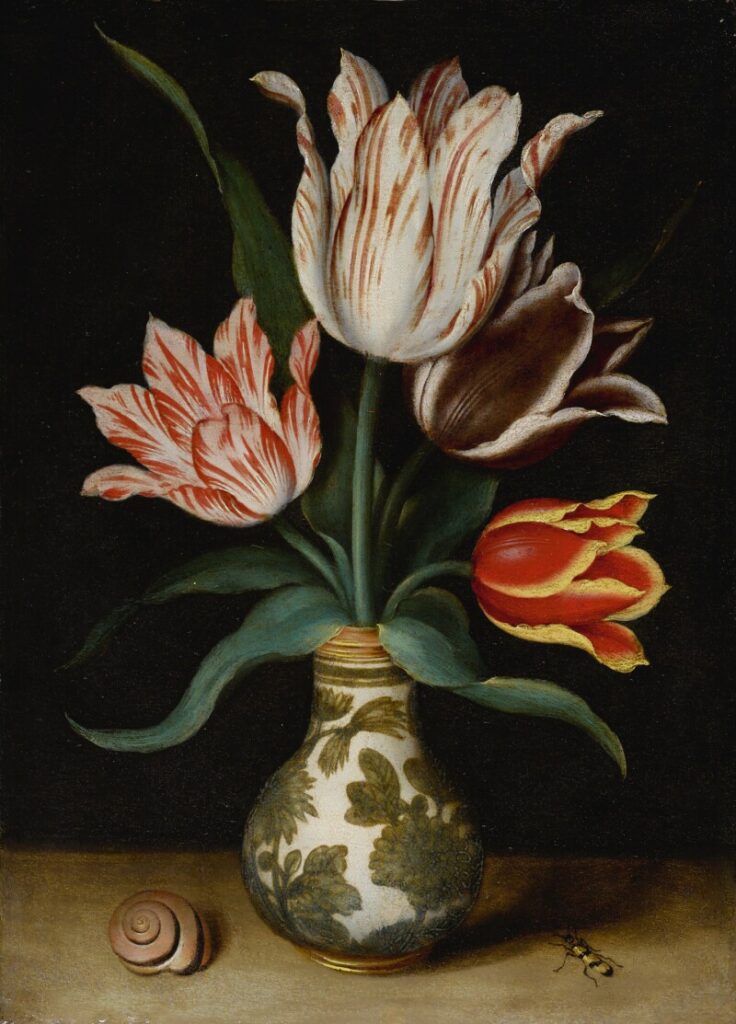 Still Life of Tulips in a Vase - Ambrosius Bosschaert