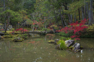 Kokedera - the Temple of Moss