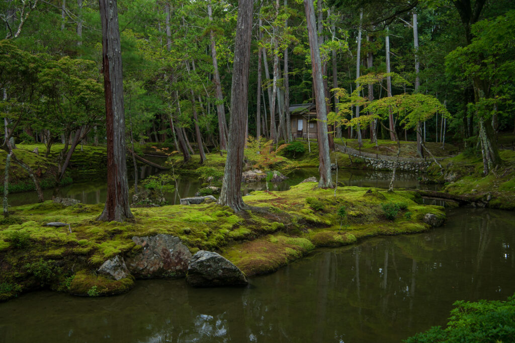 The Moss Temple / 苔寺