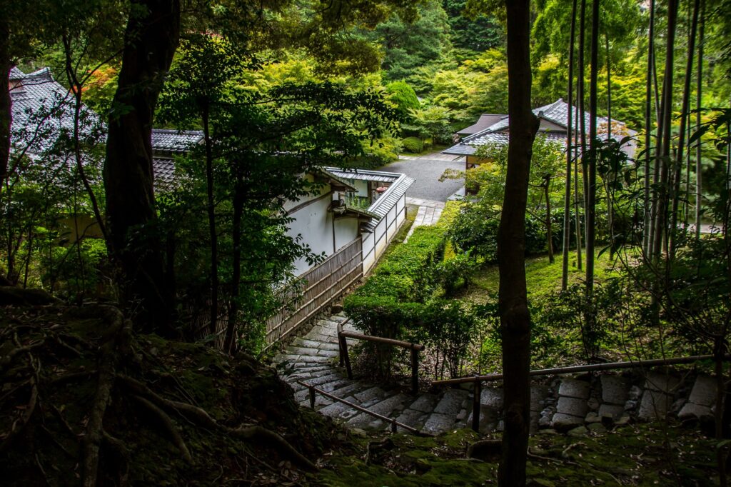 Kokedera - the Temple of Moss