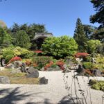 Japanese Landscape - Sonoma Botanical Garden