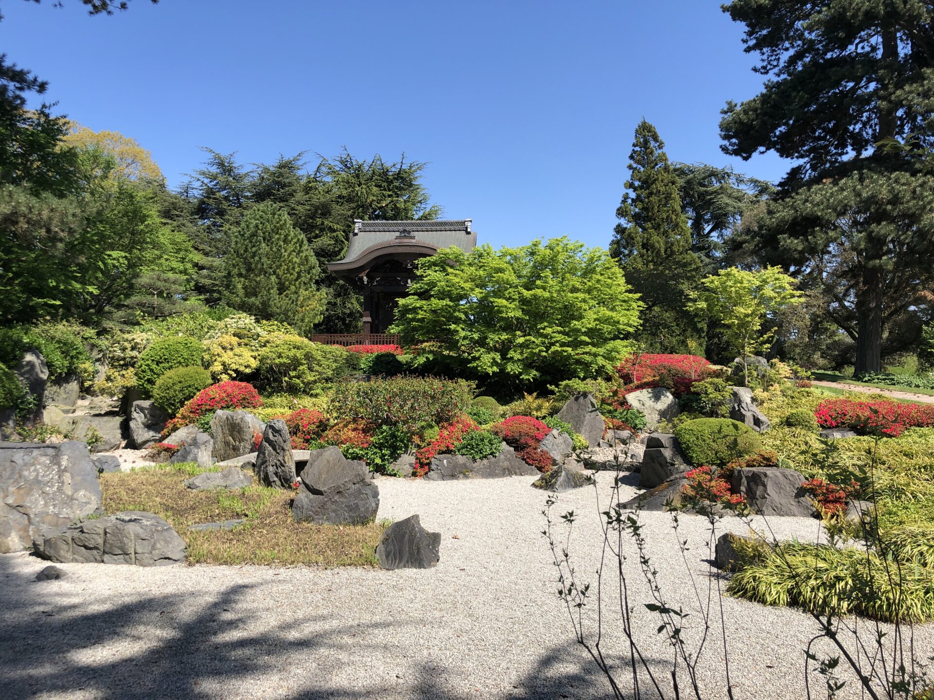 Japanese Landscape - Sonoma Botanical Garden